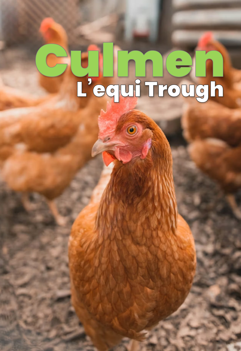 Brown chickens with 'Culmen L'equi Trough' text overlay