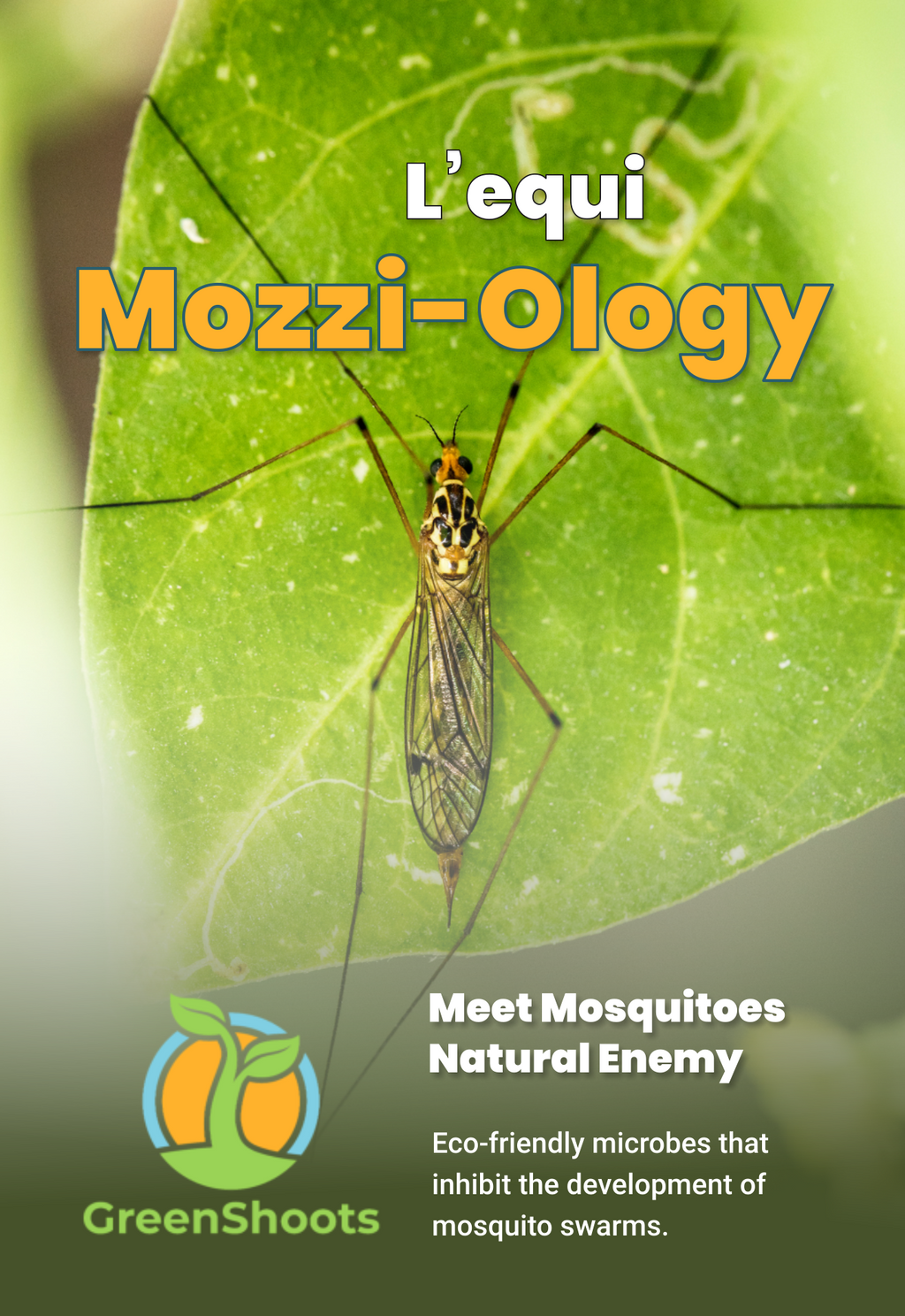 Mosquito on a leaf with 'Léqui Mozzi-Ology' Larvicide and 'GreenShoots' branding.