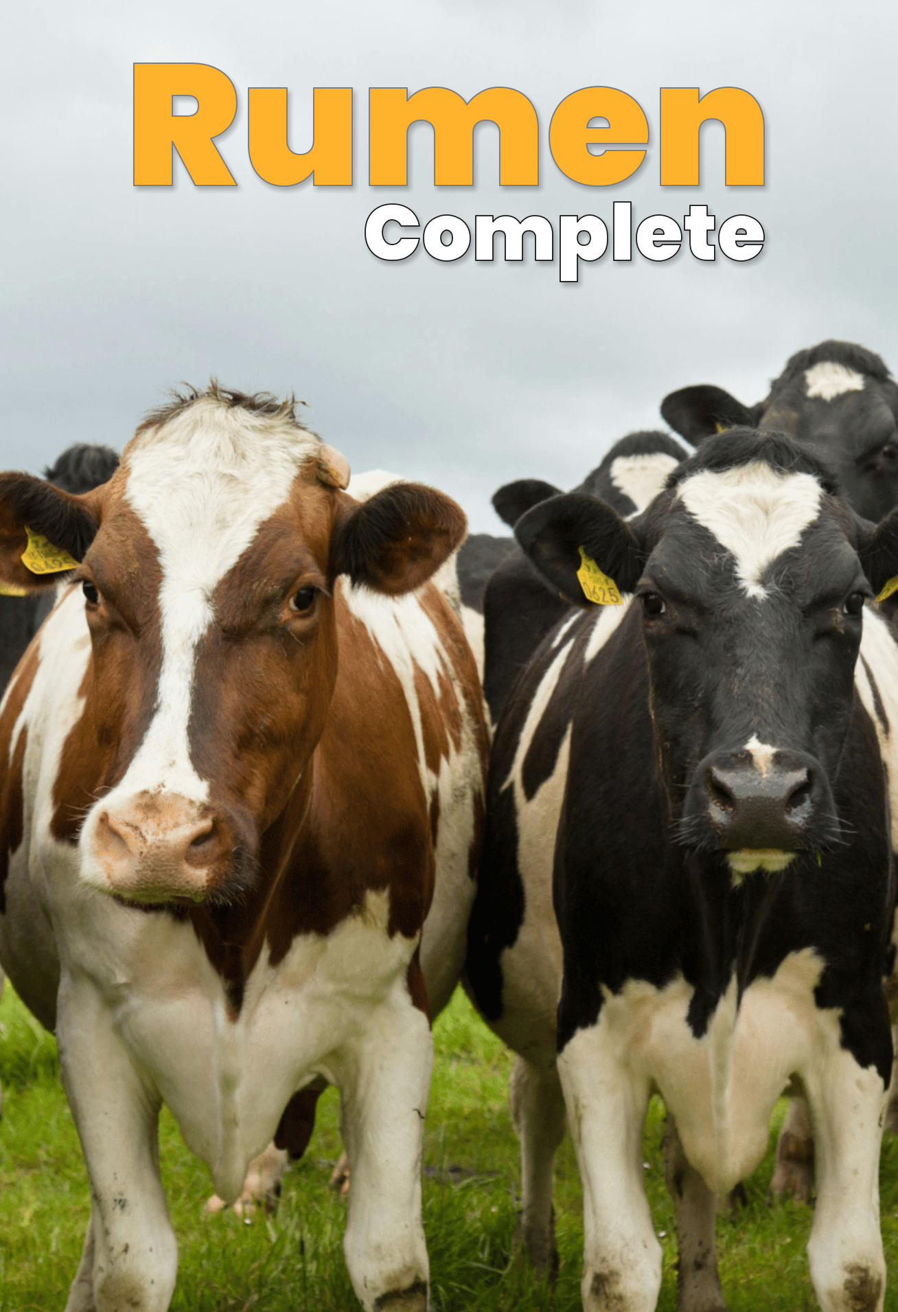 Rumen Complete® Probiotic - Official Online Store